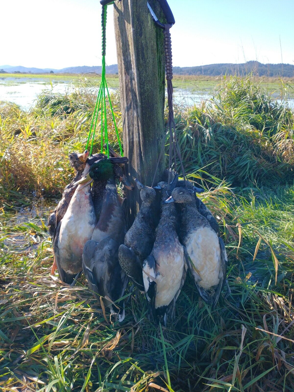 Duck Tote